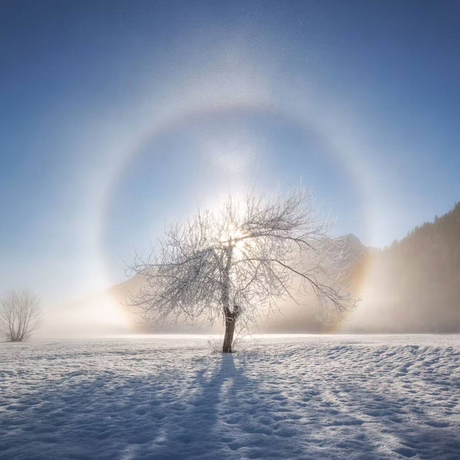 winter-wonderland-square